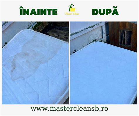 Infografic: pașii de spălare a scutecelor textile