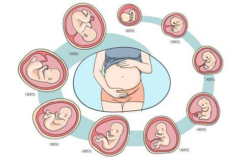 https://example.com/infografic-masaj-prenatal.jpg