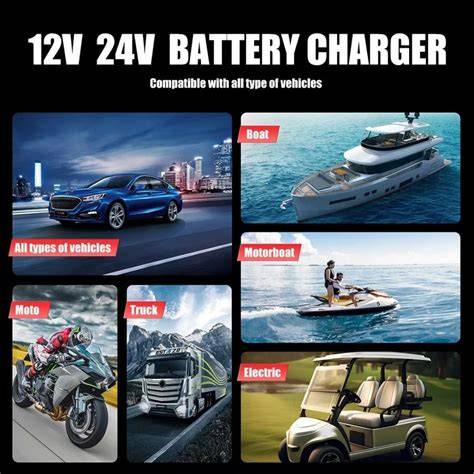 Diagrama comparativă a tipurilor de baterii (6V, 12V, 24V) și a vârstelor recomandate