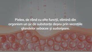 Diagramă a glandelor sebacee la scalpul bebelușului
