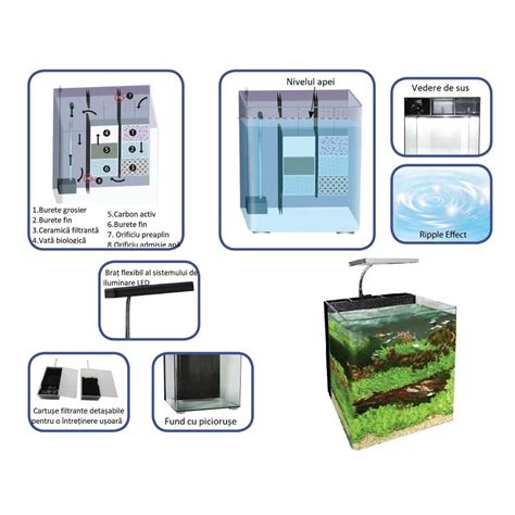 Infografic: Schema echilibrului acvariu cu temperatură, iluminare și filtrare