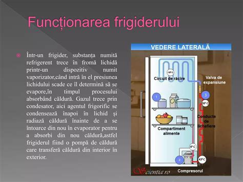 Infografic: Tipuri de incalzitoare de biberoane si principiul de functionare