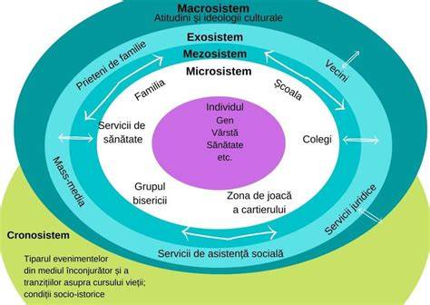 Diagramă: Modelul de sprijin integrat al ACOPO