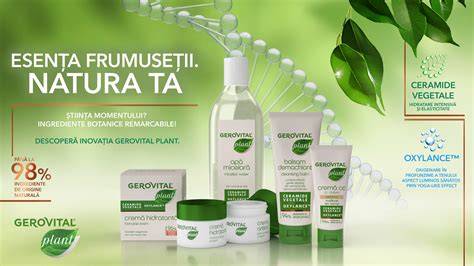 Infografic: Gama Chicco pe categorii (cosmetice, parafarmaceutice, jucării, puericultură, îmbrăcăminte)