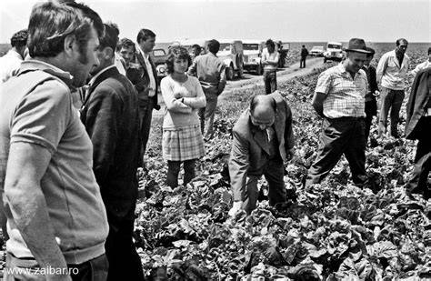Historii de avort în anii '70