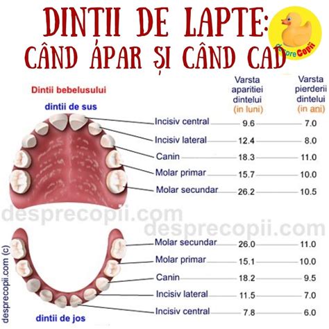 Ordinea spalarii bebelusului