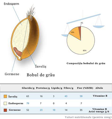 Diagramă comparativă: cereale orez, grâu, ovăz - timpul de digestie și conținutul de fibre