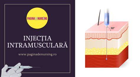 Infografic: zonele principale pentru injectie intramusculara