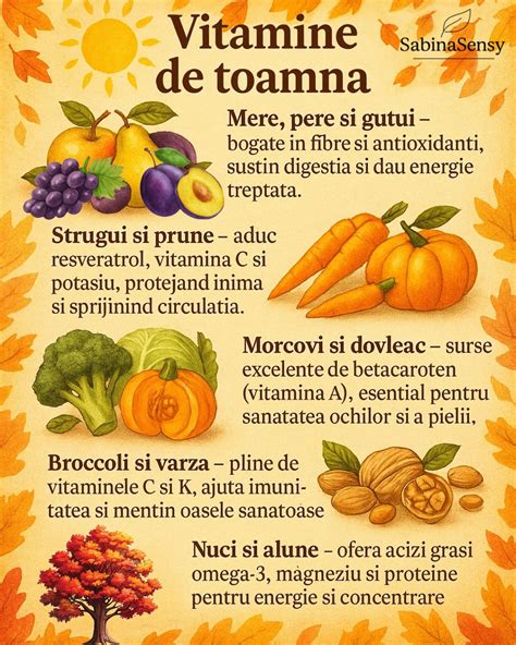 Infografic - acumulare nutrienți în morcovi: vitamina A și betacaroten