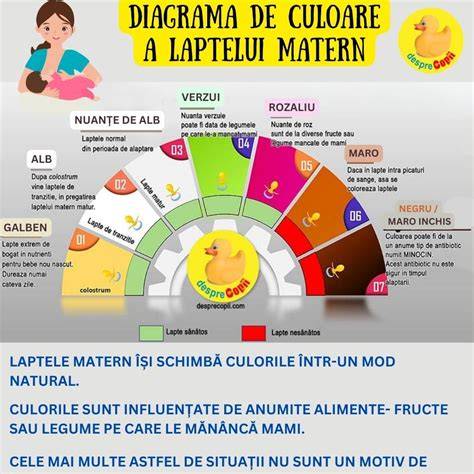 Infografic: Compoziția laptelui matern pe etape de dezvoltare ale sugarului