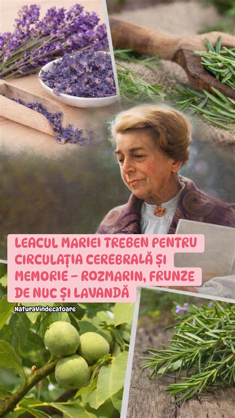 Infografic: plantele menționate în lucrarea Mariei Treben și rolurile lor în echilibrul organismului