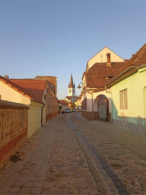 Screenshot ilustrativ despre nașteri în Sibiu