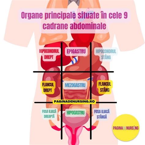 Schema inciziilor abdominale în operația cezariană