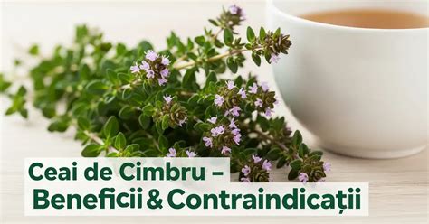 Figura 1: Cimbru și aplicări fitoterapeutice