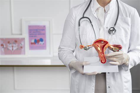 Infografic: Călătoria hormonală și influența libidoului asupra fertilității