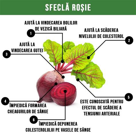 infografic beneficii sfecla rosie pentru copii