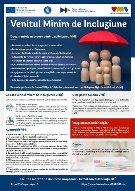 Infografic: Componența dosarului VMI - actele necesare și fluxul de validare
