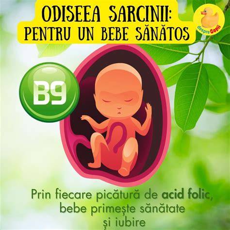 Grafic despre hidratarea recomandata in sarcina