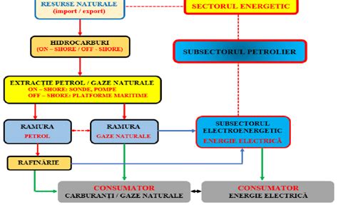 Schema de funcționare a creatinei în producerea de energie ATP