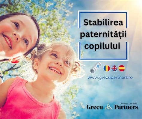 Schema fluxului acțiunii în stabilirea paternității