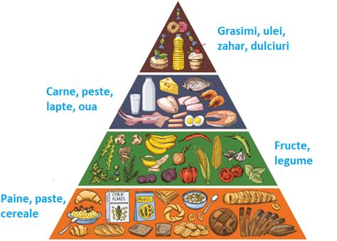 piramida alimentara alaptare