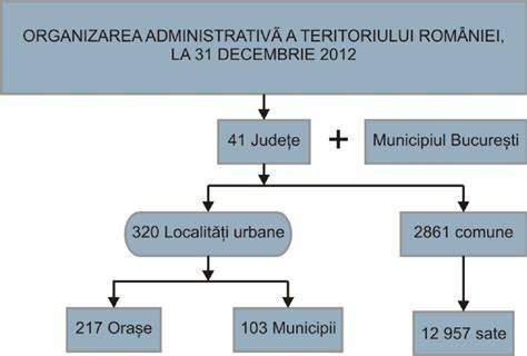 Infografic: Organizarea biografiilor în context român-internațional