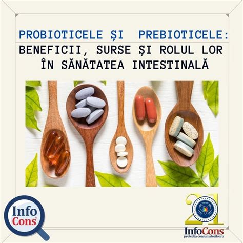 Infografic: cum actioneaza probioticile si prebioticele in microbiom