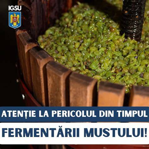 Infografic: cum seOT gadează procesul de fermentație al kombucha
