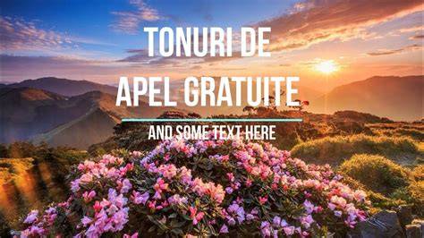 Infografie: Lista tipurilor de tonuri de apel disponibile