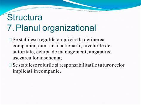 Infografic: Structura echipei si fluxul de programari