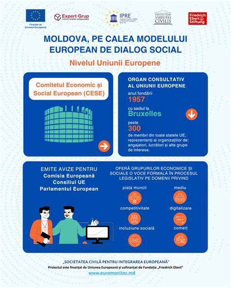 Infografic - AFLP: calea de la simptome la naștere și monitorizare