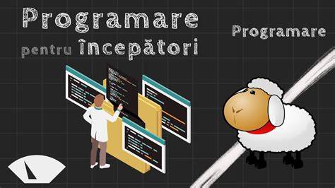 Infografic: etapele unei ședințe foto nou-născut de la programare la livrare