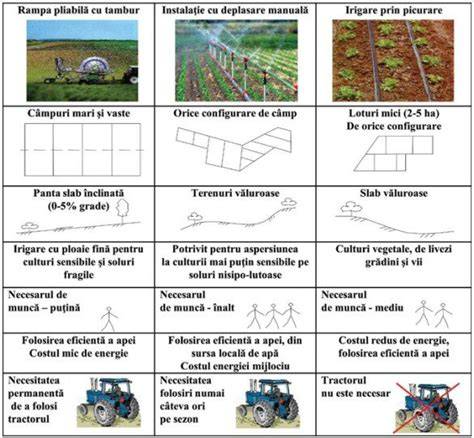 Infografic - Perioade optime de irigare în trimestrele de vegetație