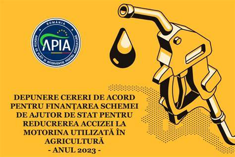 Grafic: procesul de soluționare a cererilor de pensie, de la depunerea cererii la soluția instanței