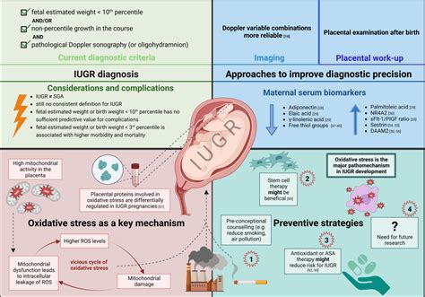 Schema algoritm diagnostic IUGR