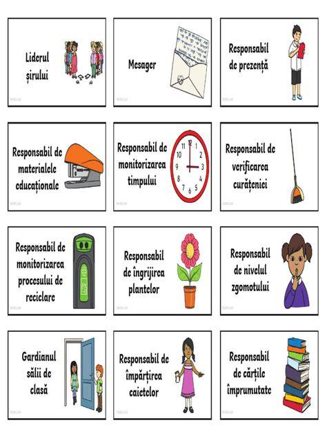 Plan_transitie_responsabilitati.png