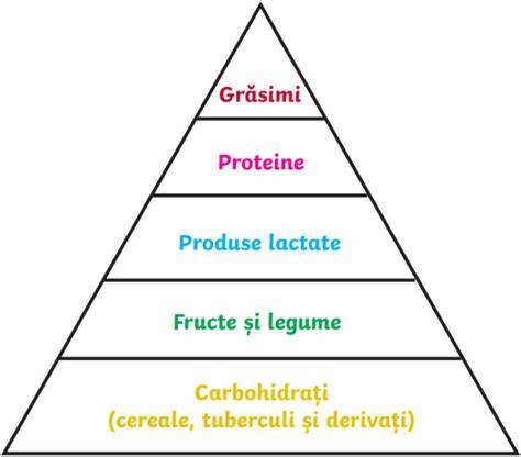 Diagrame feeding pentru tipuri de alimente recomandate în sarcină